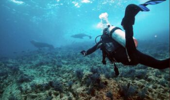 scuba diving la ventana