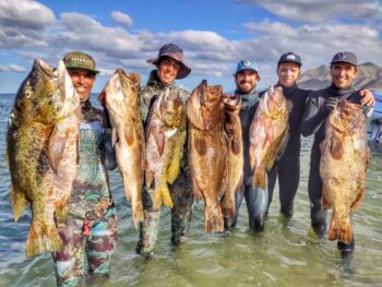 mag bay spearfishing adventures