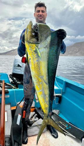 fishing at palapas ventana dorado mahi mahi