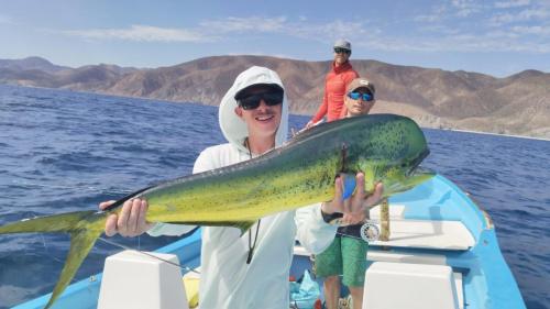 Flyfishing doradfo in la ventana with palapas ventana