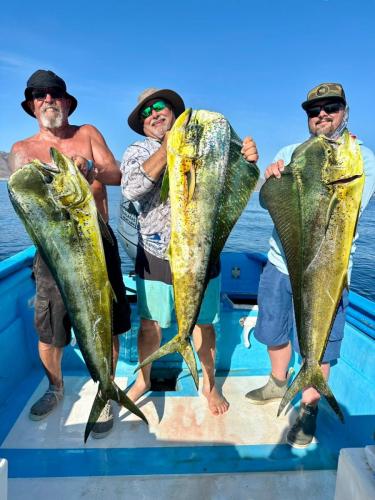 fishing at palapas ventana group dorado