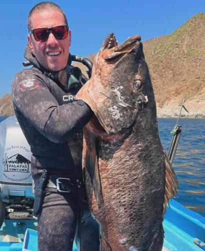 fishing at palapas ventana amberjack