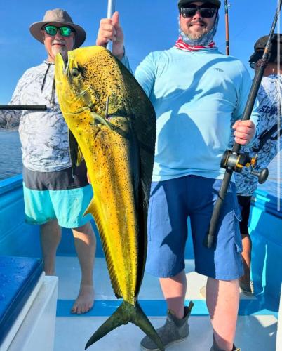 fishing at palapas ventana mahi mahi